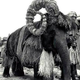 Illustration for article titled Stunning Behind-the-Scenes Photos Show Iconic Movies in a New Light